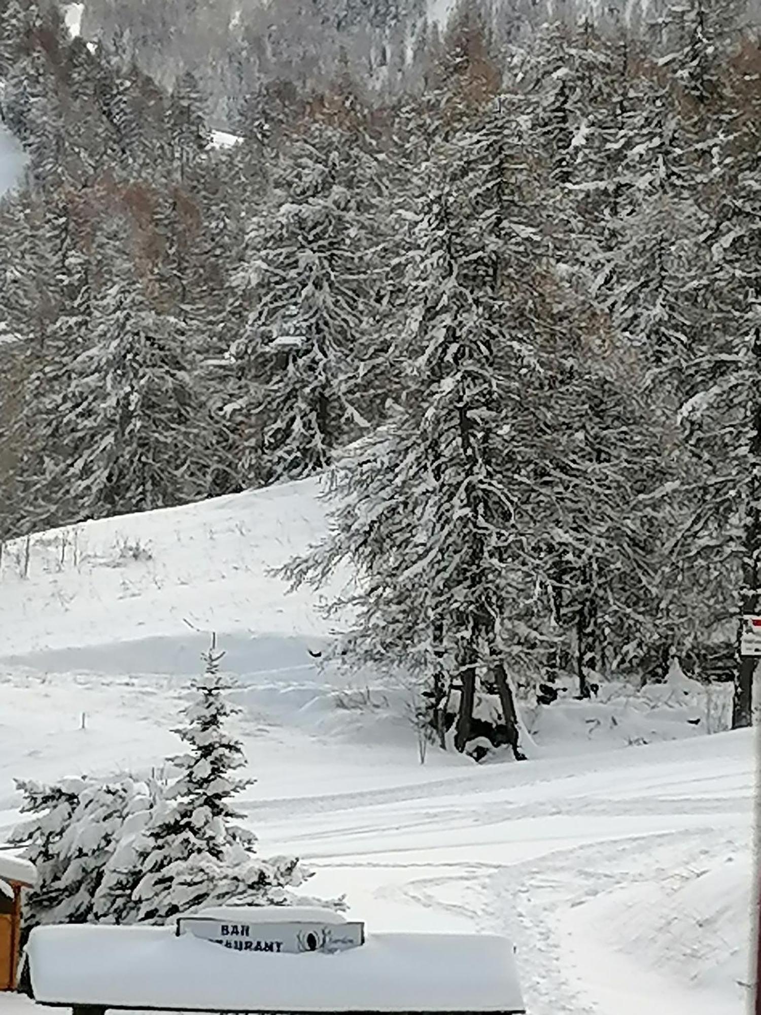 Coeur D'Altair Risoul 1850 Appartement T2 Confortable Skis Aux Pieds A 300 M Centre Exteriör bild